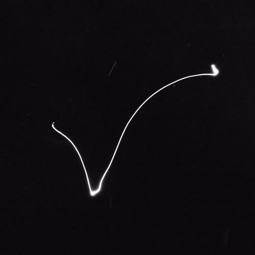 <body>
<p>This work proposes a vocabulary of single gestures traced in darkness with a handheld laser — each drawn in a single, uncorrectable movement. The line records the instant of approach, hesitation, or acknowledgment: fleeting encounters that shape our coexistence with others. These gestures parallel those unspoken exchanges that pass between strangers—allowing eye contact, offering a brief smile, a nod of recognition before the flow of daily life resumes.</p>
<p>In darkness, each gesture becomes both declaration and question. Without sight of its beginning or end, I must act in trust, as in any encounter with the unknown. The drawn light is an attempt to reach toward another, to speak without words, to register an instant of openness. The resulting traces form a fragile lexicon of recognition: arcs of invitation, lines of withdrawal, brief crossings that never fuse.</p>
<p>Philosophically, the project draws on Levinas’s insistence that ethics begins in the face-to-face meeting, before speech or comprehension, and on Han Byung-Chul’s reflections on the erosion of genuine contact in digital culture. These drawings seek to restore that lost friction — to offer illumination not as mastery, but as empathy, each gesture a visible echo of the courage to meet another in passing.
</p>
</body>
 Images Copyright Aldobranti® ©2008-'2025. All rights reserved.